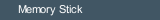 Memory Stick